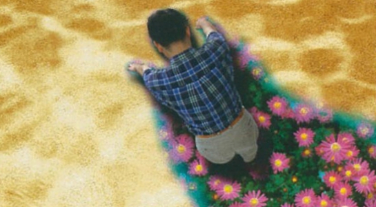25.288fe3529.jpg