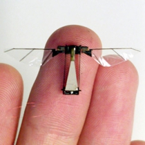 flyingrobot_450x388.jpg