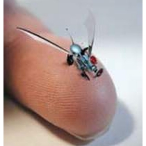 robotic-fly.jpg