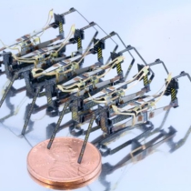 best-science-pictures-2010-scivis-micro-robots_32347_600x450.jpg