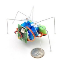507_micro20maestro20as20a20hexapod.jpg
